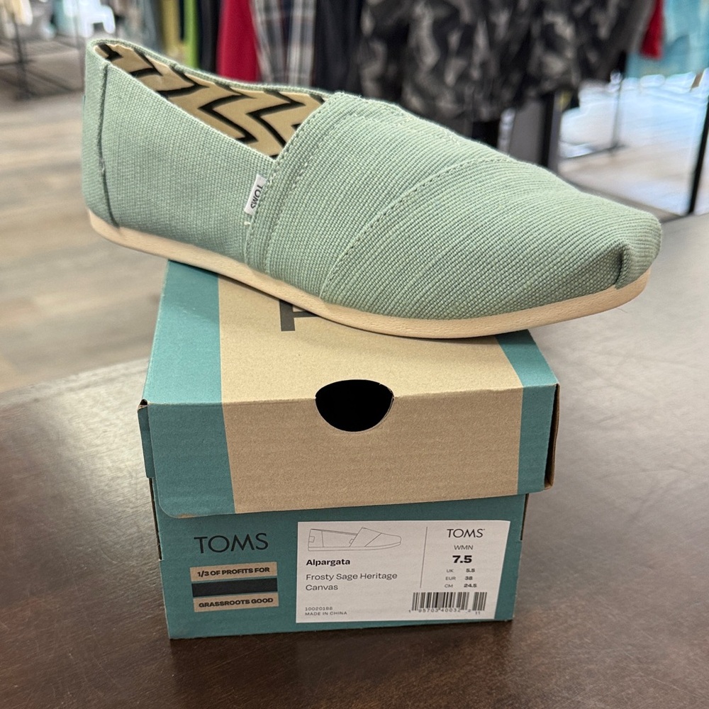 NEW TOMS canvas shoes in Frosty Sage